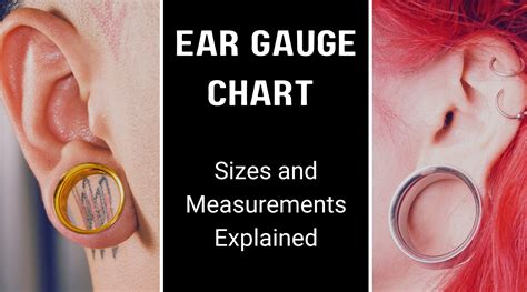Size Of Gauges For Ears