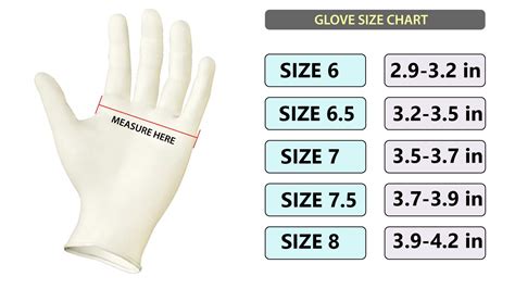 Sizes Of Sterile Gloves
