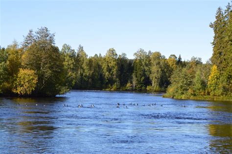 Sjökort Dalälven Skutskärs båtklubb