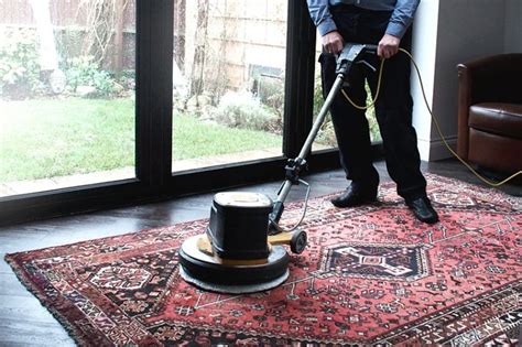 home.furnitureanddecorny.com:sjs carpet cleaning