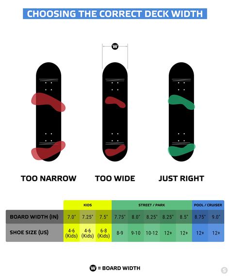 Skateboard Wheel Width Guide