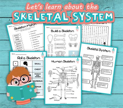 Skeletal System Activities Printable