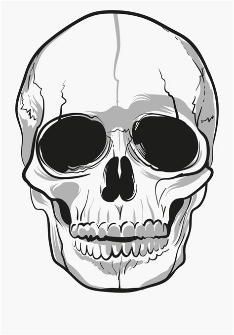 Skeleton Head Clip Art
