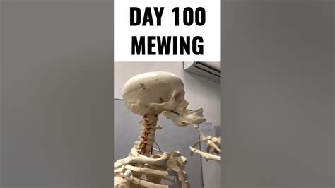 skeleton mewing meme