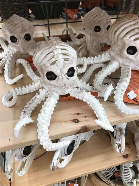 Skeleton Octopus Halloween