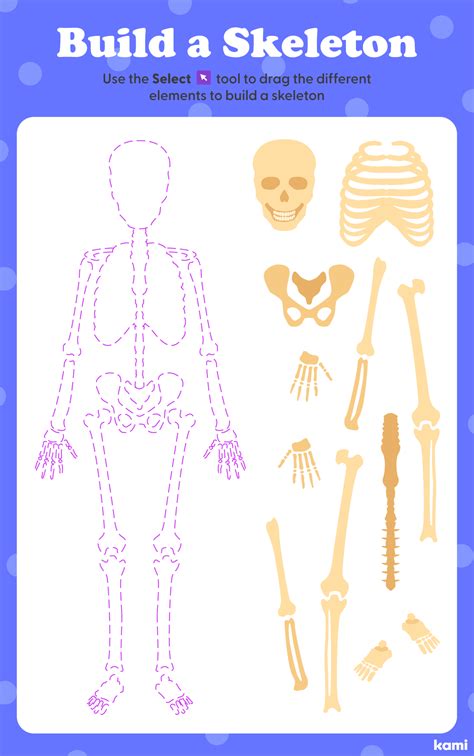 Skeleton To Make Printable
