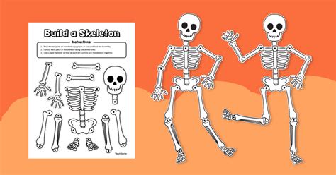 Skeleton To Put Together Printable