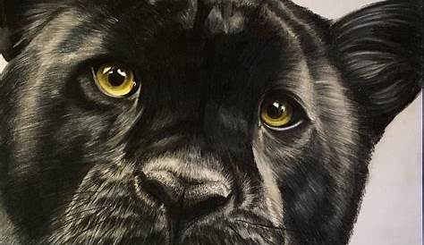 Sketch Black Panther Animal Drawing Realistic Pencil By Clive Meredith Art Kaleidoscope