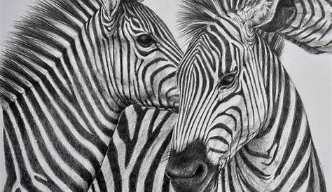 Sketch Pencil Drawing Images Animals 26 Stunning s Of Made From And Paper