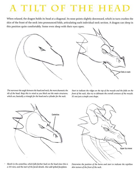 Best Free Sketch Dragon Drawing Tutorial For Beginner