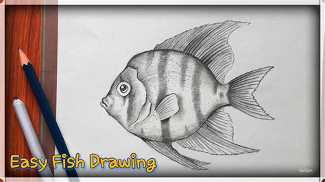 Best Sketch Drawing Of Fish For Kids