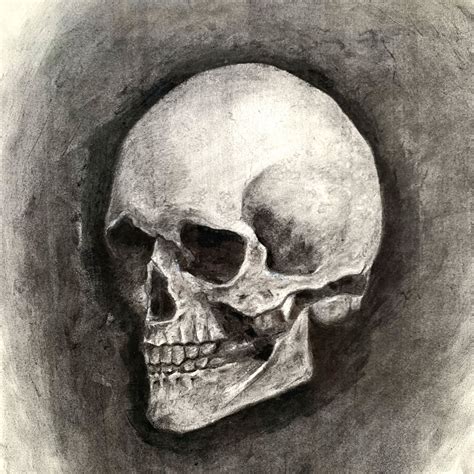 Best Sketch Drawings Of Skulls And Integrated Objects In Them With Creative Ideas