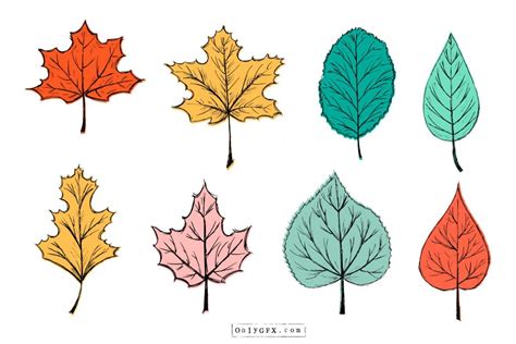 Best Sketch Easy Leaf Drawing Free For Download