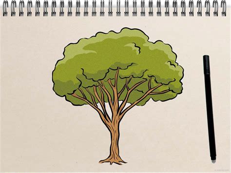 Best Free Sketch How To Draw A Tree For Kids