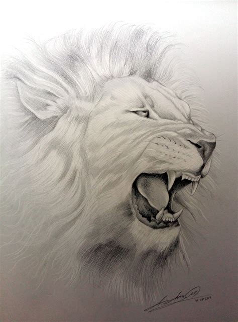 sketch of a roaring lion