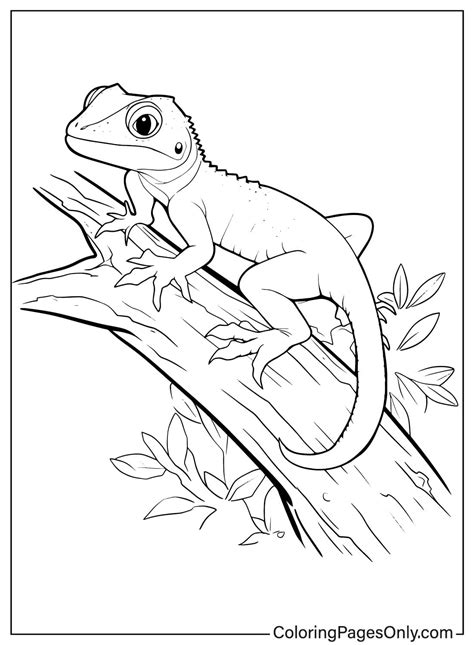 Sketch Of Lizard Printable
