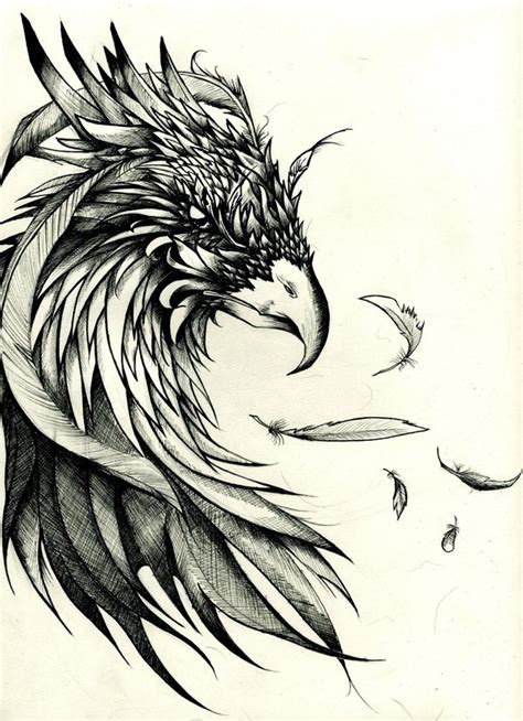 Best Sketch Pheonix Drawing Free For Download