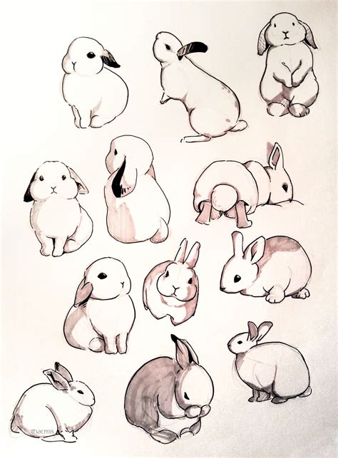  25 Idea Sketch Rabbit Drawing Reference With Creative Ideas