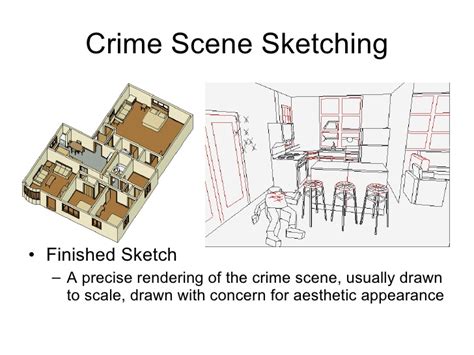 sketch the scene forensic science