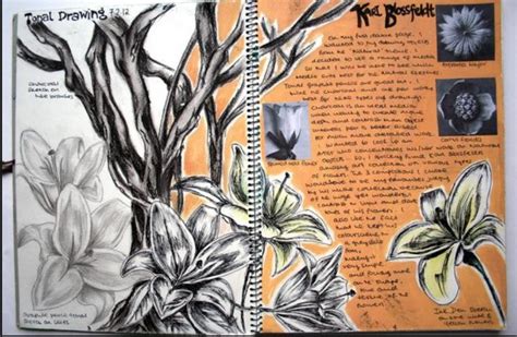 Sketchbook Art Inspiration Tree