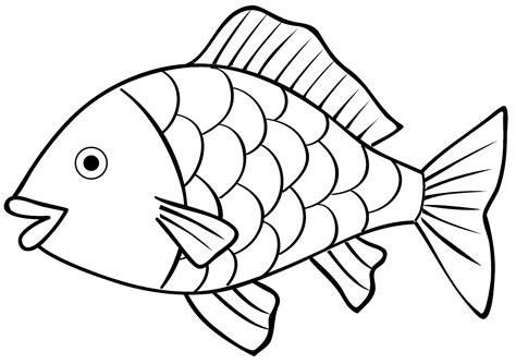 Sketsa Gambar Ikan: Tips Dan Informasi