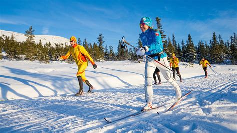 ski school trysil