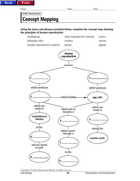 skills worksheet concept mapping answer key