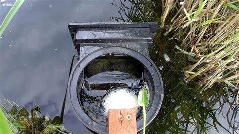 Skimmer Koi Teich