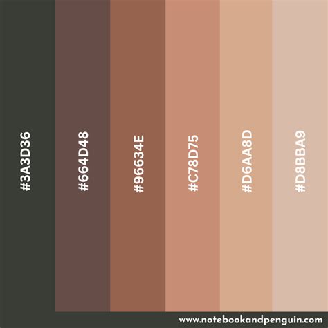 skin colors hex