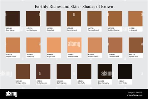 Skin Colour Names Chart