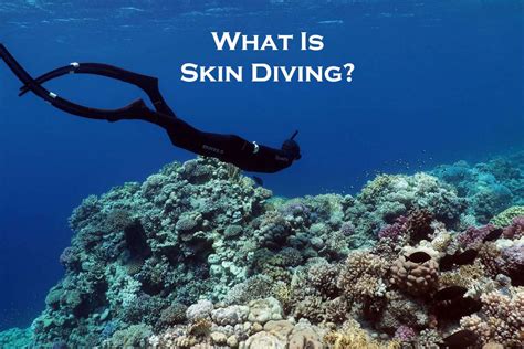 Skin Diving Define