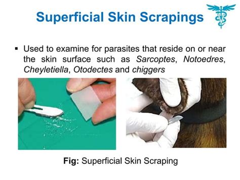 Skin Scraping Diagnostic Test
