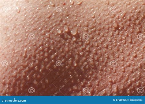 Skin Types Close Up