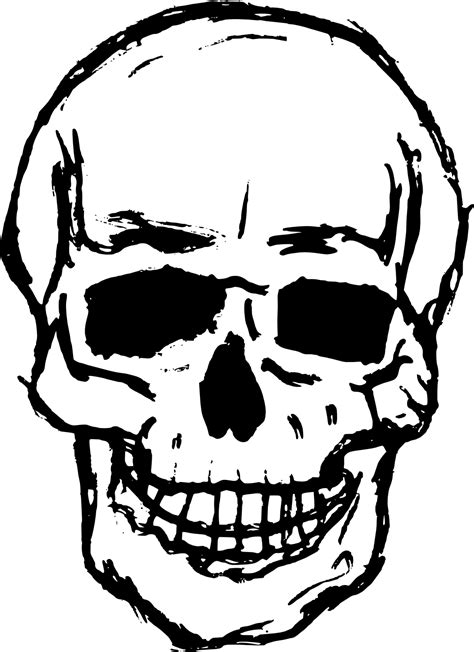 skull