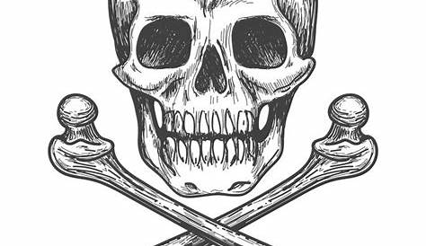 Skull Bones Crossbones Detailed Artistic Drawing Poster Black White