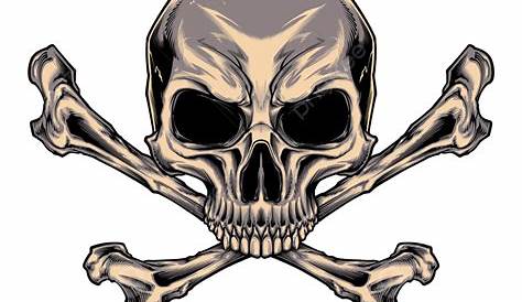 150+ Skull Bones | Free Vectors | Free Images | 123Freevectors