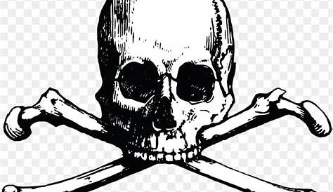 Skull Emblem Idea Logo - skull png download - 900*900 - Free