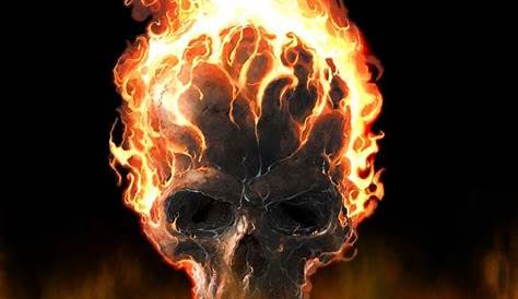 Free download Fire Skull Background wallpaper wallpaper hd background