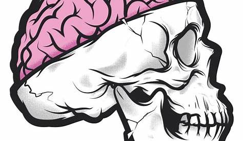 Skull and brain | Brain drawing, Anatomy art, Graphic design art