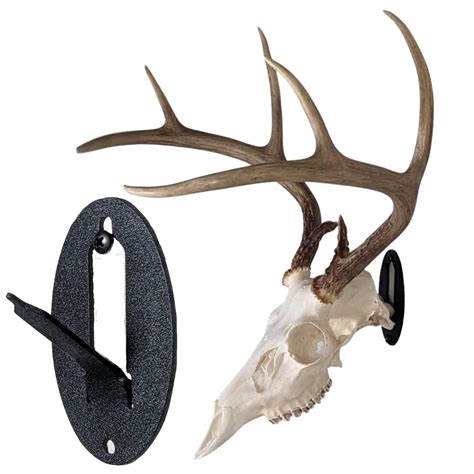 Skull Mount Jewelry: Unveil the Mystery Behind This Trending Accessory