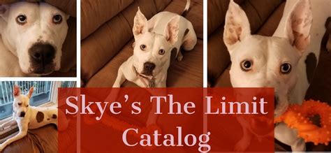 Skyes The Limit Catalog