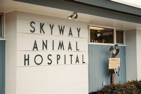 Veterinary Services St. Petersburg, FL Skyway Animal