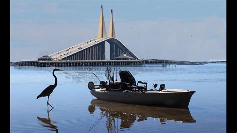 skyway bridge fishing report today