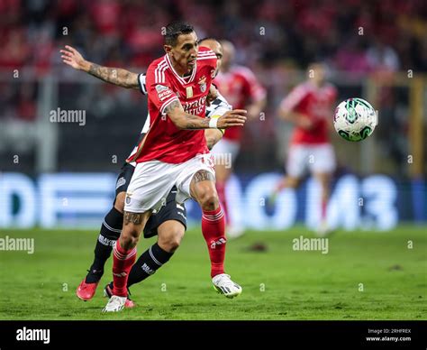 sl benfica spiele