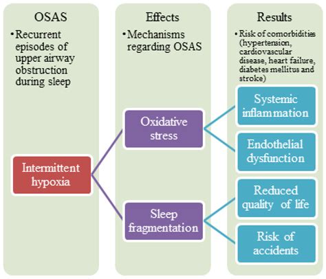 sleep apnea etiology peer reviewed