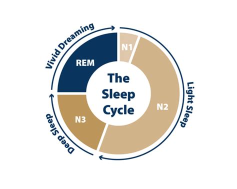 Sleep Foundation Credibility