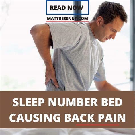 Sleep Number Bed Bad Back