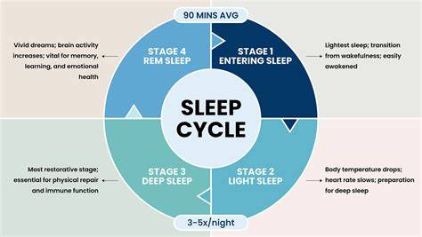 Sleep Stages Cycle