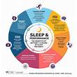 sleep wellness