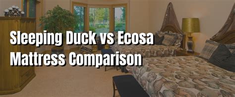 Sleeping Duck Vs Ecosa